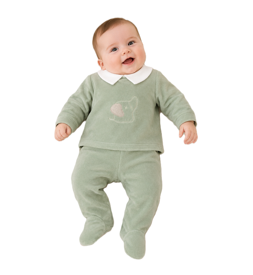 completo elefanti