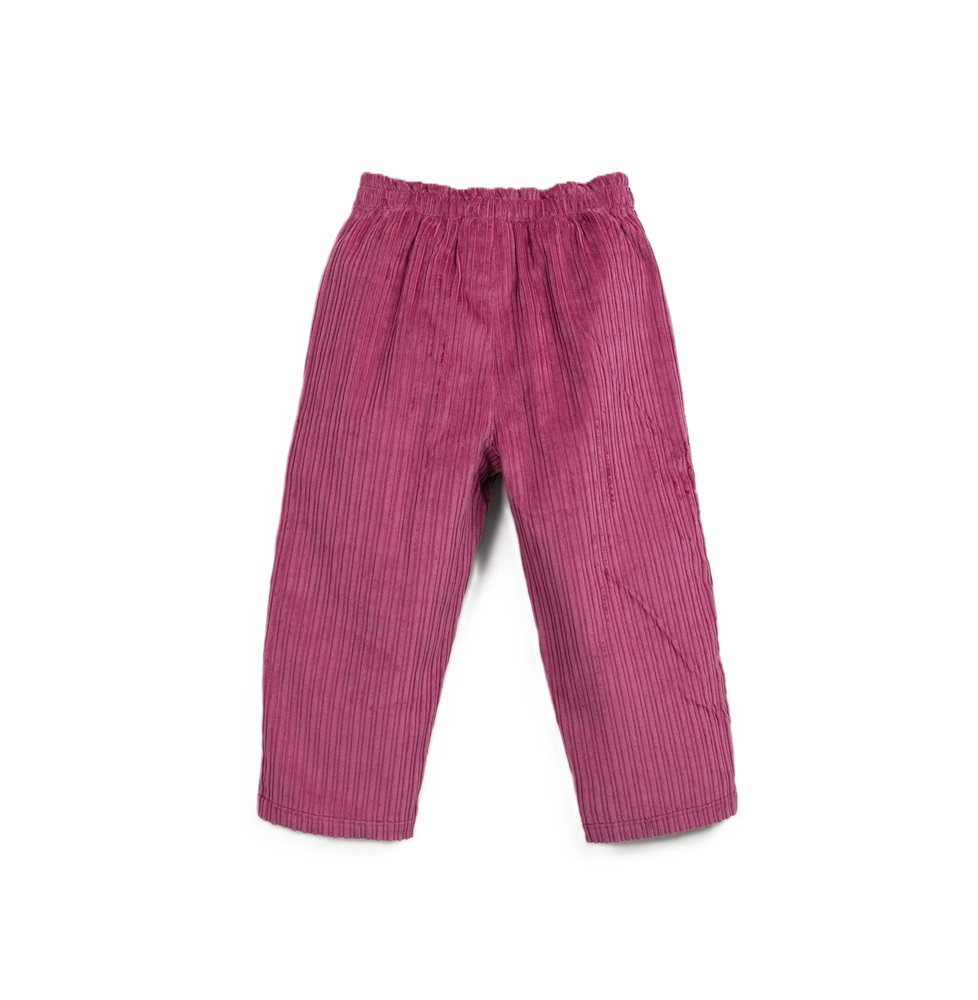 Pantaloni velluto