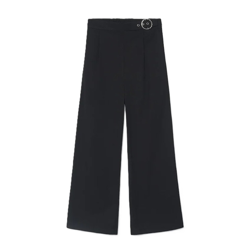 Pantaloni pinces