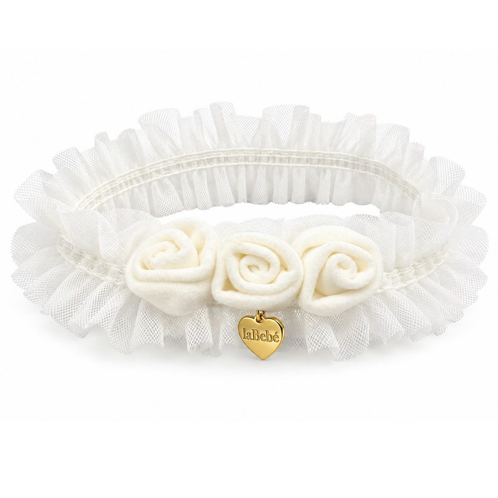 fascia rose